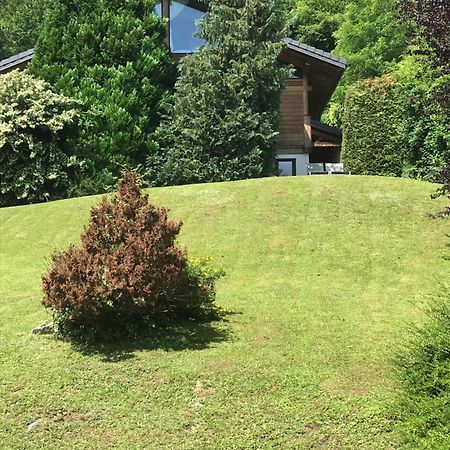 Appartement Sevrier Terrasse Et Jardin Eksteriør bilde